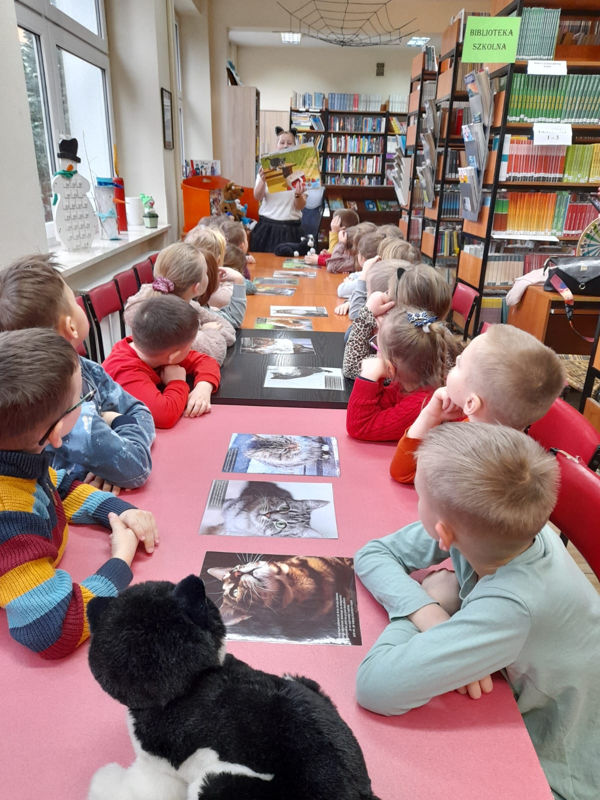 DZIEŃ KOTA w BIBLIOTECE