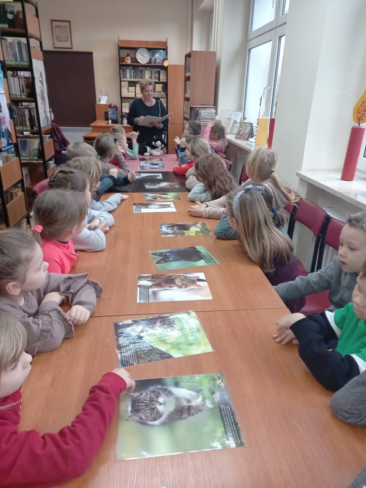 DZIEŃ KOTA w BIBLIOTECE